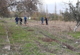 Toshkent viloyati yashil maskanga aylanmoqda