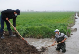 Sirdaryo viloyati: agrotexnika tadbirlarini vaqtida o‘tkazmagan fermer xo‘jaliklariga ogohlantirishlar berilmoqda