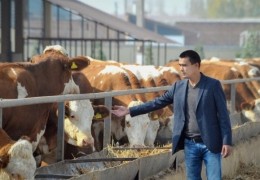 Farg‘onada chorvachilik sohasiga oid Davlat dasturi ijrosi qanday?