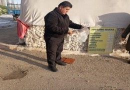 Paxta tozalash korxonalarida urug‘lik paxta qanday saqlanmoqda?