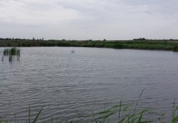 Buxoro viloyatida baliqchilik sohasi rivojlantirilmoqda, bu boradagi ishlar Agroinspeksiya nazoratida