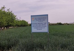 URUG‘LIK G‘ALLA — SIFATLI HOSILNING ASOSI