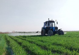 G‘alla maydonlarida agrotexnik tadbirlarning sifatli o‘tkazilishi «O‘zagroinspeksiya» nazoratida