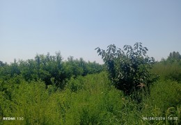 Целевое использование земель сельскохозяйственного назначения находится под контролем