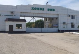 Сырдарья: Готовы ли зерноприемные предприятия принять урожай зерна?
