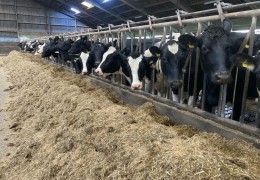 This year, the implementation of priority tasks for the development of livestock industries is under the control of 