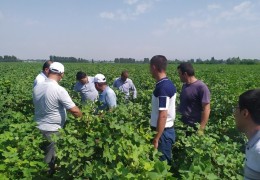 Demonstration training-seminar was held at 