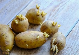 Fermerlarning qonuniy manfaatlari tiklandi