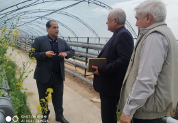 Joriy yildan boshlab “O‘zagroinspeksiya” Qishloq xo‘jaligida bilim va innovatsiyalar milliy markazi tizimidagi ilmiy tadqiqot institutlari bilan hamkorlik qiladi