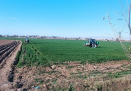 Определены прогнозные показатели по размещению высокоурожайных, качественных озимых зерновых культур по сортам и ряд задач под урожай 2025 года по Кызылтепинскому району Навоийской области.