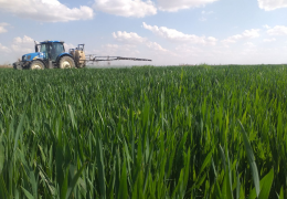 G‘alla maydonlarida agrotexnik tadbirlarning o‘z vaqtida o‘tkazilishi Inspeksiya nazoratida