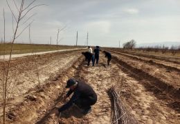 “Yaxshidan bog‘ qoladi”- Navoiy viloyat boshqarmasida ko‘chat ekish aksiyasi davom etmoqda