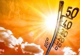 ССВ иссиқдан ҳимояланиш бўйича тавсиялар берди