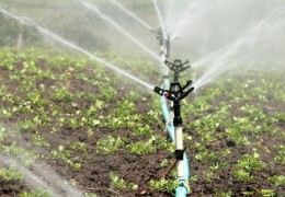 Сувдан самарали фойдаланишни таъминлаш бўйича юклатилган вазифалар бажарилмоқда