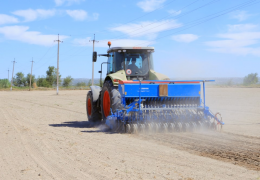 Syrdarya region: deficiencies were identified during sowing of grain crops