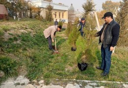 “Yashil makon” umummilliy loyihasida “O‘zagroinspeksiya” xodimlari ham faol ishtirokni boshladi