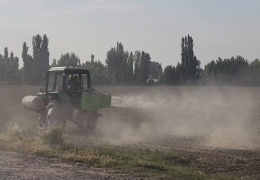 Control of cotton pests is under control