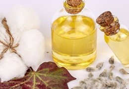 Yog‘-moy korxonalarning paxta texnik chigitini qayta ishlash faoliyati nazoratda
