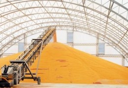 Донларнинг нобудгарчилиги олди олинди