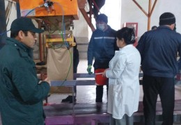Сара уруғлик чигит - сифатли пахта ва юқори ҳосилдорлик гарови.