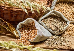 2020 yil hosilidan davlat resurslariga olinadigan boshoqli donning xarid narxlari belgilandi