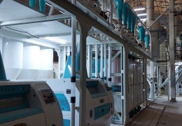 Инспекция оказывает практическую помощь в обеспечении участия субъектов предпринимательства в биржевых торгах.