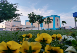 2024 yil hosilidan jamg‘arilgan donning sifatli saqlanishi Inspeksiya nazoratida