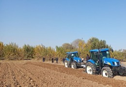 SIFATLI SHUDGOR KELGUSI YIL HOSILINING GAROVI