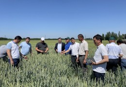 Ғаллачилик йўналишида Республика бўйлаб ўқув семинари ўтказилмоқда