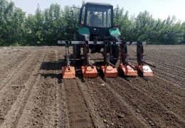 CHIGIT EKISH ISHLARI VA AGROTEXNIK TADBIRLAR INSPEKSIYA NAZORATIDA