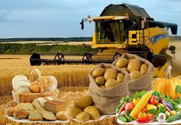 2021 йил ҳосили учун уруғчилик субъектлари томонидан тайёрланган жами 11 769 тонна уруғлик дон стандарт талаблари бўйича номувофиқ деб топилган