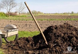 NАVOIYDА KUZGI BOShOQLI DON BOʼYIChА MUHIM АGROTEXNIK TАDBIR SIFАTLI BАJАRILYaPTIMI?
