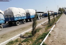 Paxta qabul qilishdagi nizoli holatlar adolatli hal etilyaptimi?