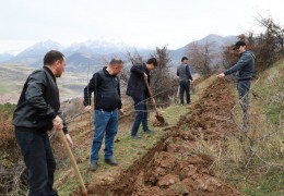 Yashil makon: Inspeksiya xodimlari tomonidan ko‘chatlar o‘tkazildi