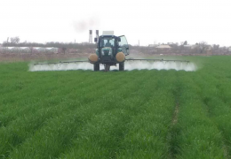 123 ming gektar g‘alla maydonlarida agrotexnik tadbirlarda kamchiliklarga yo‘l qo‘yilgan