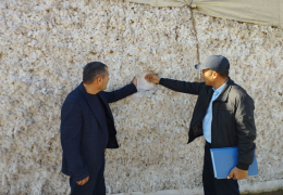 Urug‘lik paxta saqlash qoidalarini buzgan masʼullarga nisbatan maʼmuriy choralar ko‘rilmoqda