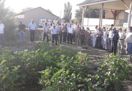 URUG‘LIK PAXTA MAYDONI APROBATSIYASI – KELGUSI YIL HOSILI UCHUN MUHIM TADBIR