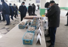 Paxta-to‘qimachilik klasterlarida urug‘lik chigit tayyorlash yuzasidan press-tur tashkil etildi