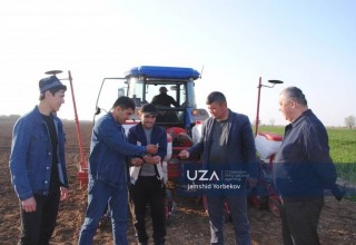 Мирзачўллик пахтакорлар чигит экиш ишларини жадаллаштирди