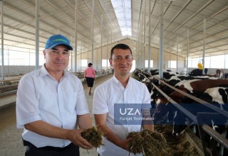 Сирдарёда чорва комплексига пресс-тур ташкил этилди