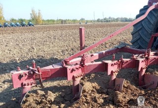 2021 йил ҳосили учун кузги шудгорлаш ишлари қай аҳволда?